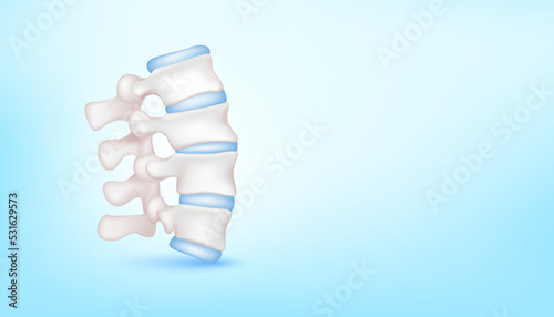 Backbone disc joint with healthy cartilage on blue background with copy space for text. ฺBone human skeleton anatomy of the body. Medical health care science concept. Realistic 3D Vector illustration.