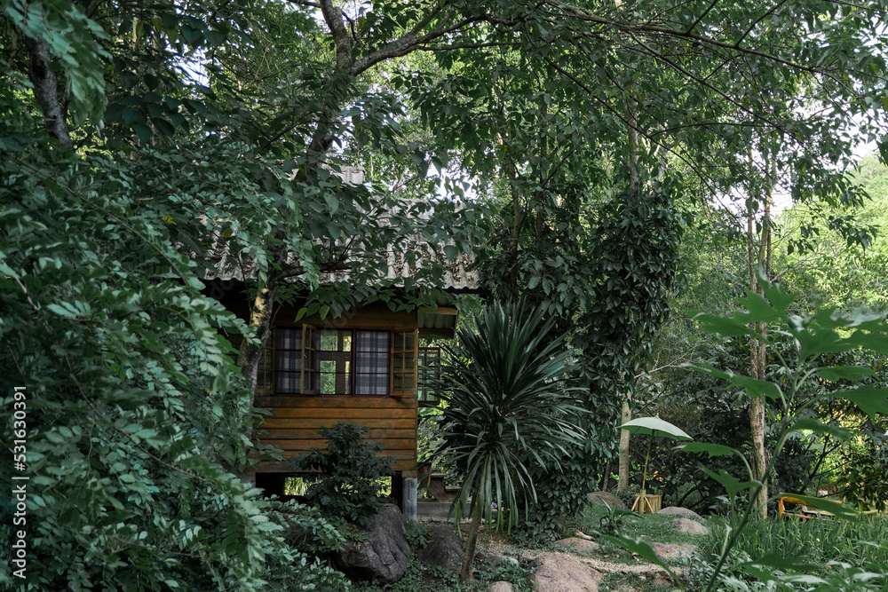 a little house in forest stay among many trees a little house in forest stay among many trees