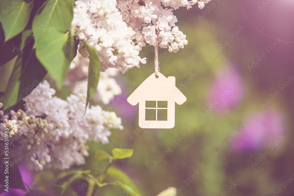 The symbol of the house among the branches of the white lilac The symbol of the house among the branches of the white lilac