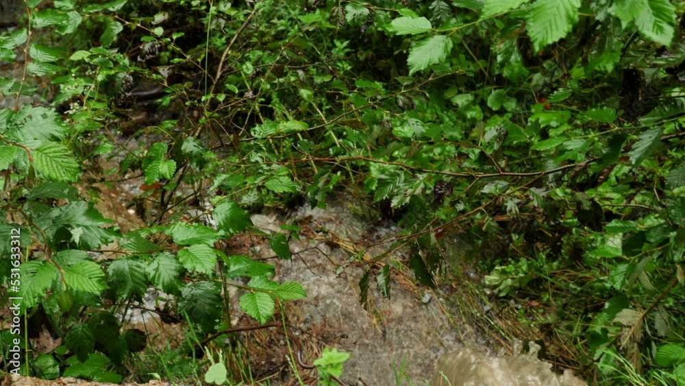4K. Nature bad waterfall of small size in the forest. Slow motion 4K. Nature bad waterfall of small size in the forest. Slow motion
