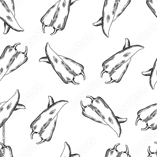 seamless black and white pattern with chili peppers, hand drawing, hatching
