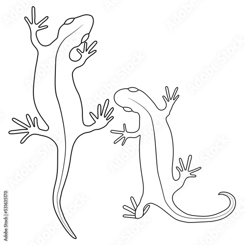 Set of lizards reptile gecko outline vector illustration. Simple line art illustration isolated on white background. Template for books, stickers, posters, cards, clothes.