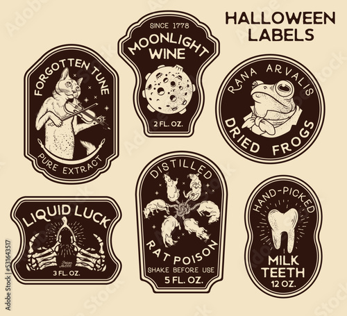Halloween Bottle Labels and Potion Labels. Vector Illustration.