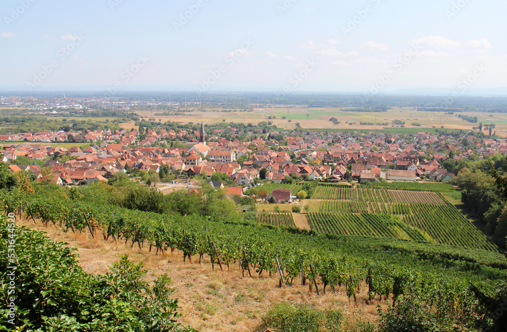 View on the village of Kintzheim from the Vosges Alsace Grand Est France