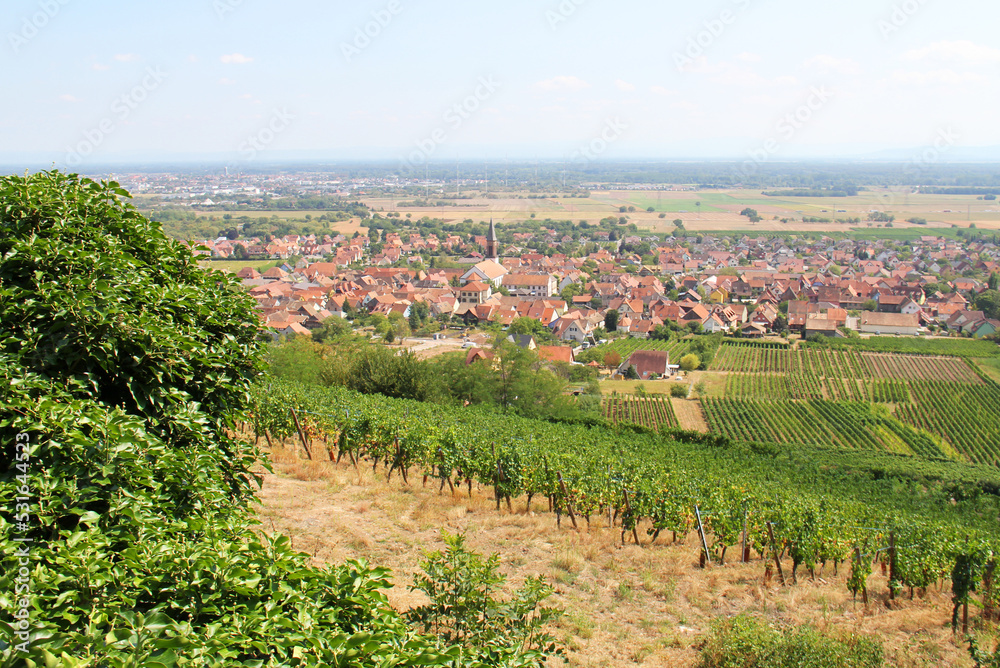 View on the village of Kintzheim from the Vosges Alsace Grand Est France