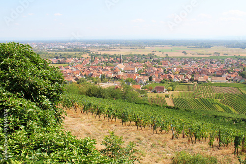 View on the village of Kintzheim from the Vosges Alsace Grand Est France