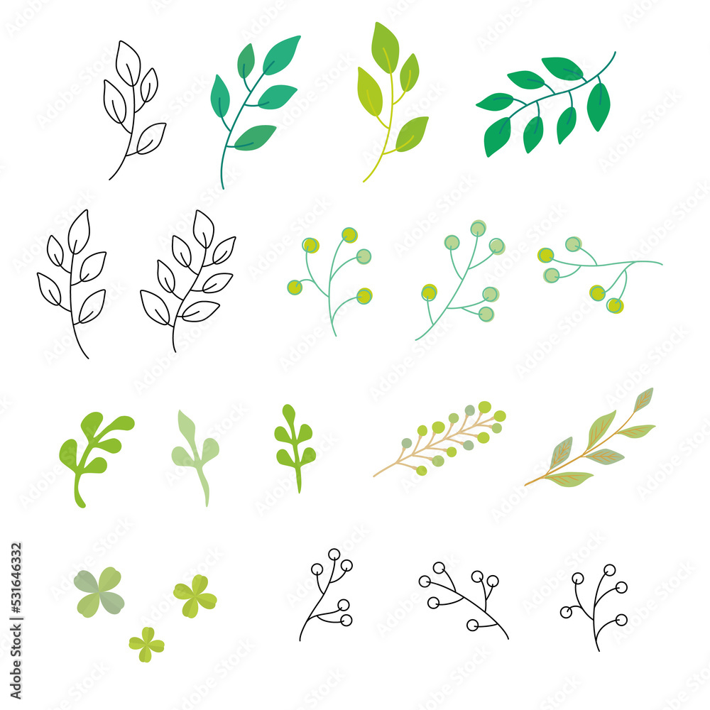 green leaves  illustration set