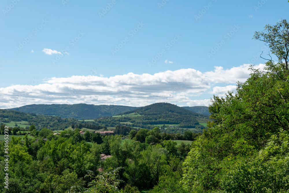 green forest over the mountains in Auvergne
