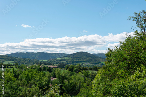 green forest over the mountains in Auvergne