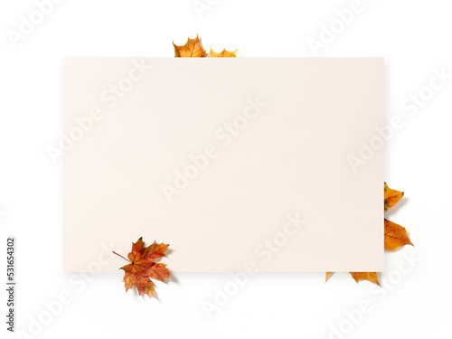 Autumn white banner decorated with fallen leaves