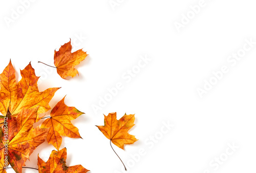 Obraz na płótnie Autumn leaves close-up w salonie
