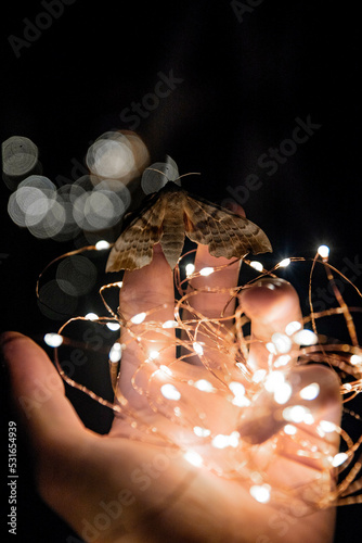 On an abstract light background, a close-up of a hand holding a light bulb and Christmas decorations