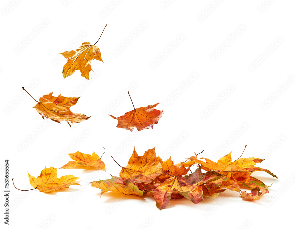Falling leaves in pile