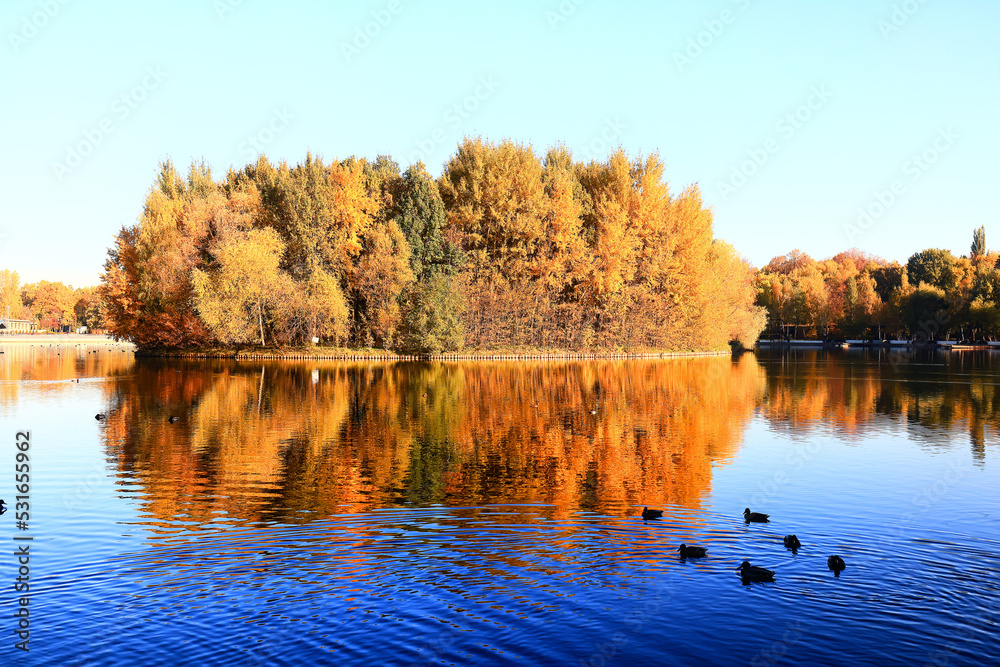 Obraz premium fall park view decoration, wallpaper autumn yellow season