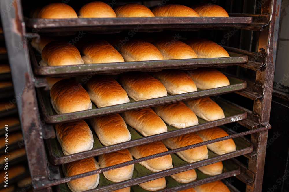 Freshly baked bread loafs on a shelf