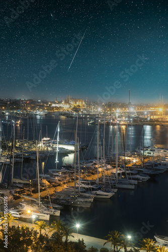 amazing aerial view of the city Palma de Mallorca with its harbour and cathedral at night, Mallorca, Spain