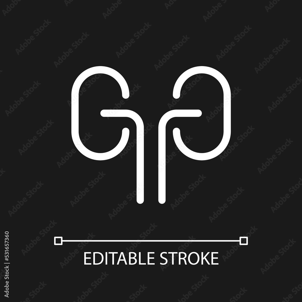 Fototapeta premium Kidneys pixel perfect white linear ui icon for dark theme. Organ transplantation. Urinary system. Vector line pictogram. Isolated user interface symbol for night mode. Editable stroke. Arial font used