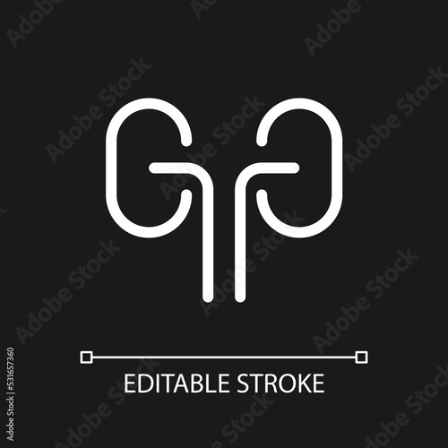 Kidneys pixel perfect white linear ui icon for dark theme. Organ transplantation. Urinary system. Vector line pictogram. Isolated user interface symbol for night mode. Editable stroke. Arial font used
