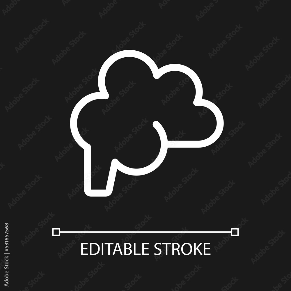Brain pixel perfect white linear ui icon for dark theme. Nervous system. Neurological checkup. Vector line pictogram. Isolated user interface symbol for night mode. Editable stroke. Arial font used Brain pixel perfect white linear ui icon for dark theme. Nervous system. Neurological checkup. Vector line pictogram. Isolated user interface symbol for night mode. Editable stroke. Arial font used