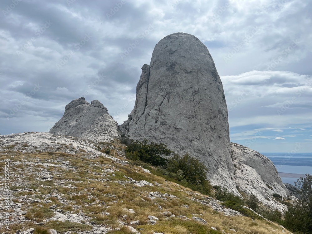 Stap - beautiful detail from Velebit mountain Stap - beautiful detail from Velebit mountain