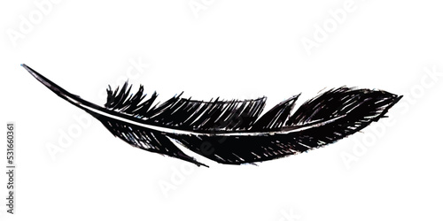 The Feather of bird drawn in black ink pen. 
