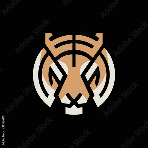 Tiger logo icon, Tiger illustration vector logo