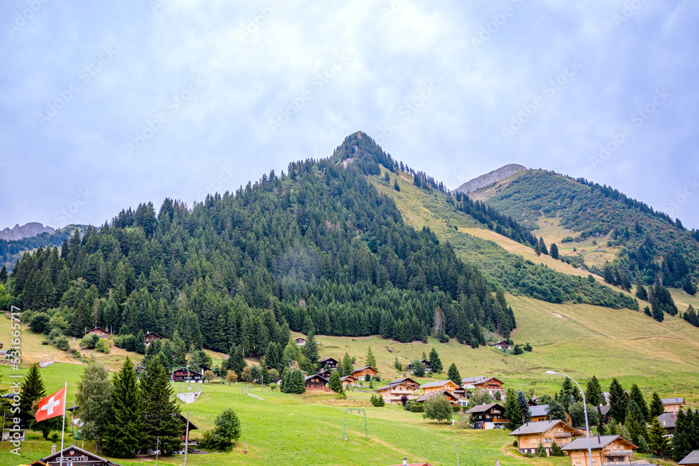 Autour de Mosses Ormont-Dessou dans les alpes Suisse