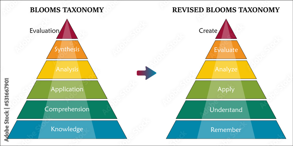 Blooms Taxonomy Revised Blooms Taxonomy Infographic Stock Vector