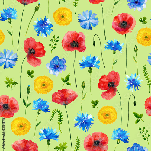 Floral seamless background. Pattern with beautiful watercolor wild meadow flowers. Botanical hand drawn illustration. Texture for print, fabric, textile, wallpaper. © Taity