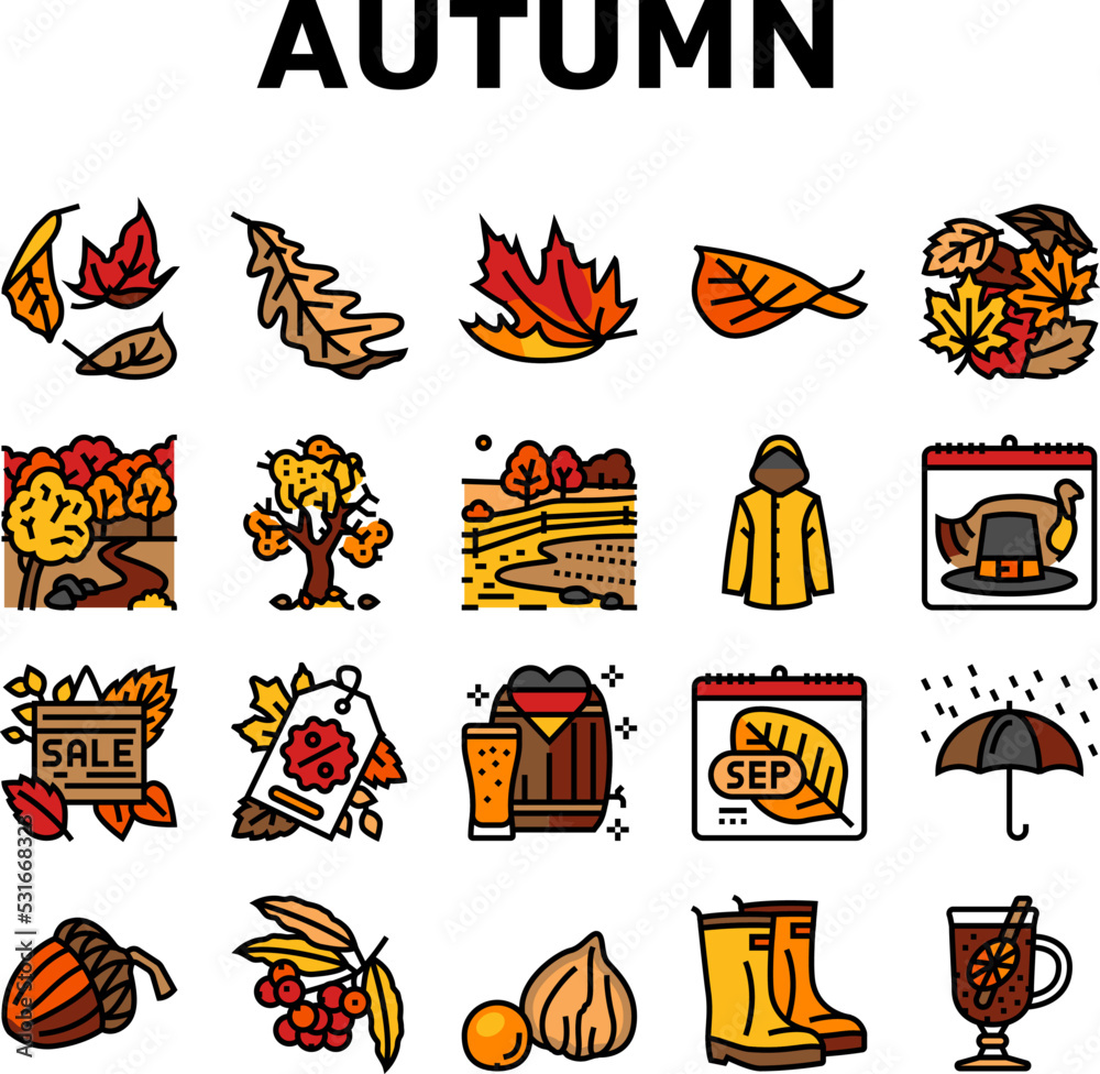 autumn fall leaf nature season icons set vector. foliage leaves, festival holiday, maple art, card cute, forest orange yellow plant autumn fall leaf nature season color line illustrations autumn fall leaf nature season icons set vector. foliage leaves, festival holiday, maple art, card cute, forest orange yellow plant autumn fall leaf nature season color line illustrations