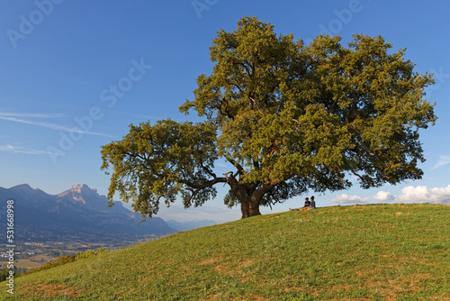 VENON, FRANCE, September 1, 2022 : Young couple rest at sunset under an old oak, called "Le Chene de Venon", one of famous tree in french alps.