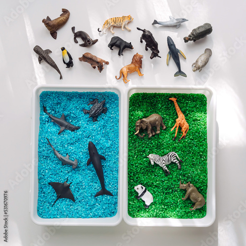 Photography Ocean and land sensory sorting activity