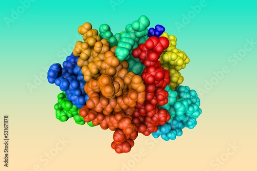 Human heat-shock protein HSP 90a-NTD bound to adenine. Space-filling molecular model. Rendering based on protein data bank entry 7s90. Rainbow coloring from N to C. 3d illustration photo