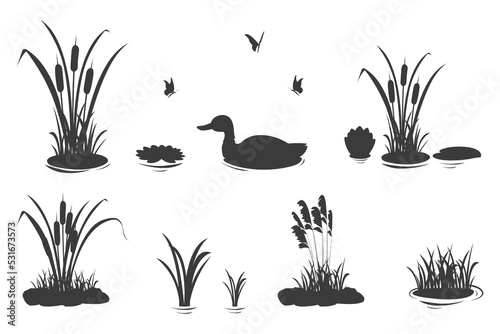 Canvas Print Silhouette elements of swamp grass with reeds and duck