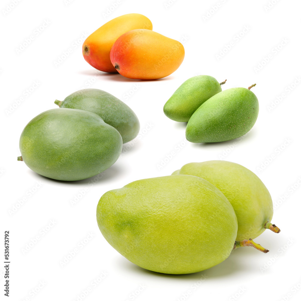 mangos on a white background 