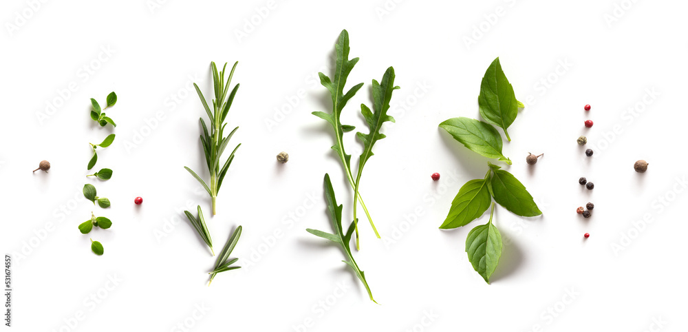 art Spices and herbs banner background. Variety of spices and mediterranean herbs. Food background