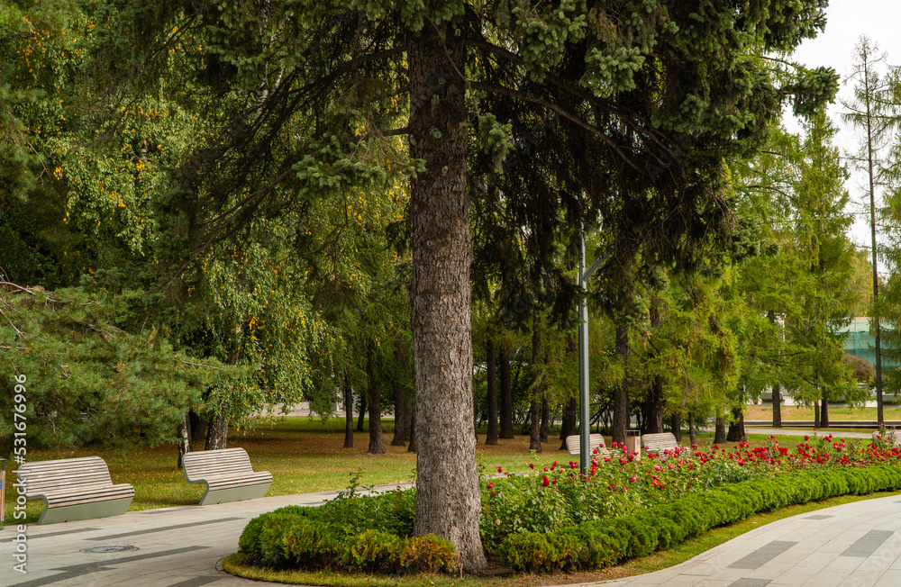 path in the park