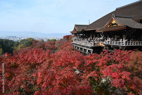 秋の京都 清水寺の紅葉の風景