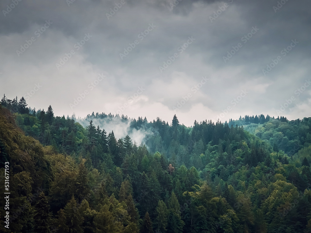 Peaceful fall scene in Carpathian mountains with mixed forest on top of the hills in a gloomy day. Natural autumn landscape in the woods, rainy weather with foggy clouds above the trees
