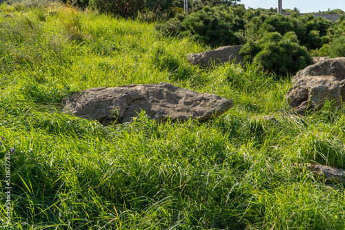 stone and grass