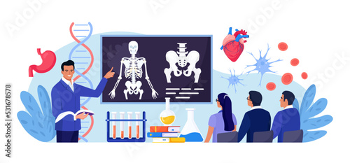 Anatomy school subject. Students studying human skeleton. Teacher pointing at chalkboard, teaching people. Pupils learn nervous, bone, organs, blood systems. Biology classes, medicine