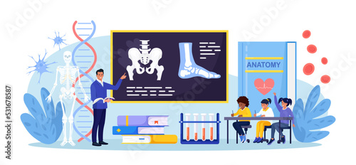 Anatomy school subject. Pupils studying human skeleton, bones. Teacher pointing at chalkboard, teaching kids. Students at desks learn body nervous, muscle, blood systems. Biology classes, medicine