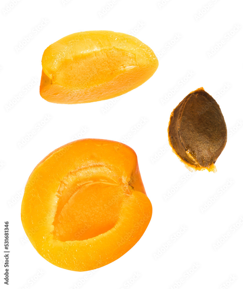 apricot pieces and pit apricot pieces and pit