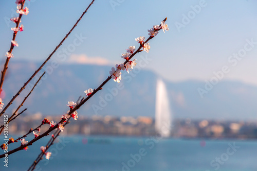 Scenic view from the Geneva Lake at the Bay of Geneva, Switzerland