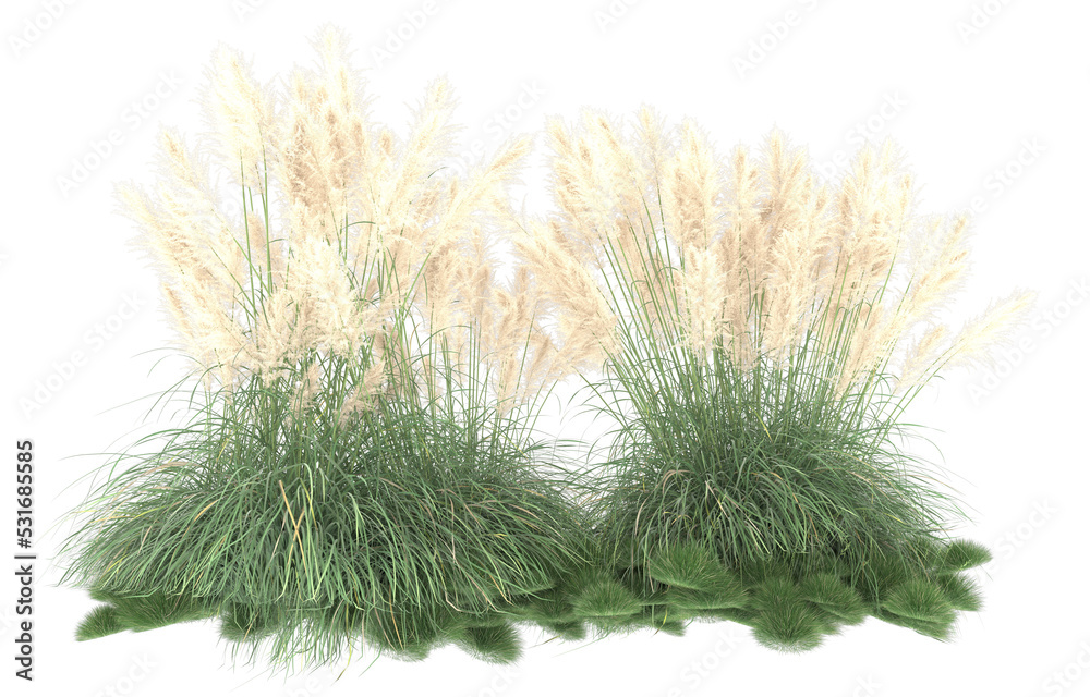 Grass on transparent background. 3d rendering - illustration Grass on transparent background. 3d rendering - illustration