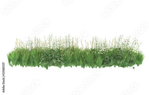 Fotografiet Grass on transparent background. 3d rendering - illustration