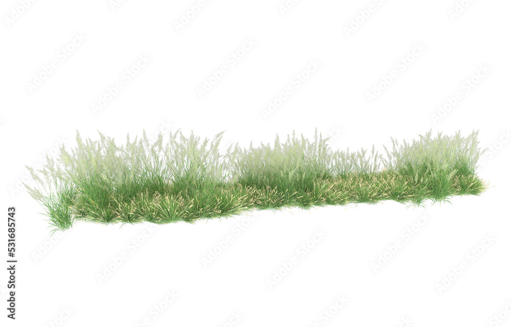 Fototapeta premium Grass on transparent background. 3d rendering - illustration
