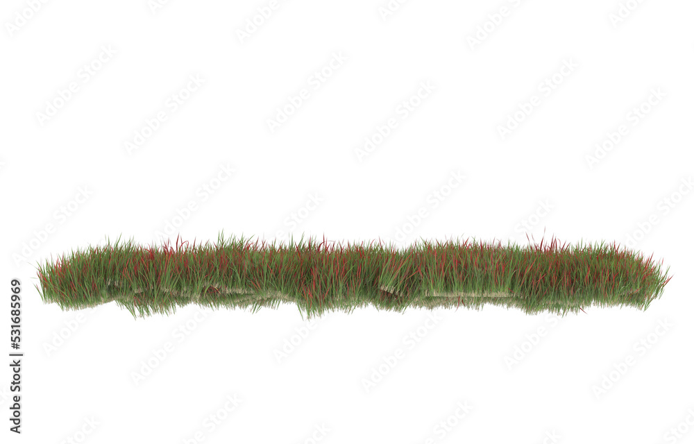 Grass on transparent background. 3d rendering - illustration