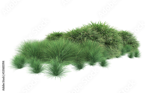 Grass on transparent background. 3d rendering - illustration