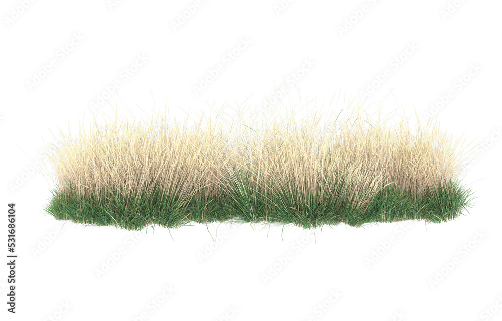 Grass on transparent background. 3d rendering - illustration Grass on transparent background. 3d rendering - illustration